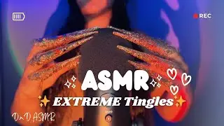 ASMR Foam Mic Scratching With Claws ✨ &bull; EXTREME Tingles 😬 (No Talking) ✨