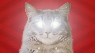YOUR CAT IS CONTROLLING YOU! | BRITLAB