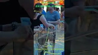 850.音乐光大總監帶領我们乘坐目前全世界最大和最豪华的郵輪.....