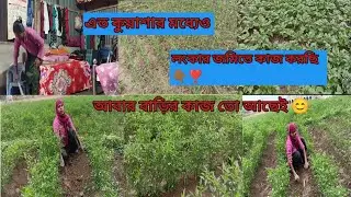 শীতের ঠান্ডায় বাড়ির সমস্ত কাজকর্ম সেরে চলে  গেলাম জমিতে কাজ করতে, সারাদিন কাজ করে বেলা ডুবে গেল 🥰