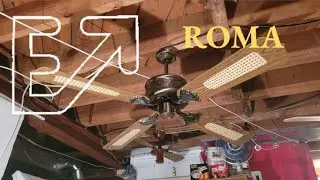 Evergo Roma (