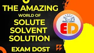The Amazing World of Solute, Solvent & Solution 🧪 | Science for RMS, JNV, NDA | 9307440717