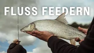 So f&auml;ngst du am Fluss! Feedern an der Ijssel