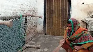 Morning routine, village vlog, yateem larki official vlog, Pakistani family vlog 