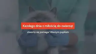 Gabinet weterynaryjny Słubice VetVision