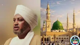 دور المؤسسات في نشر الإسلام د. عصام البشير