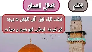 Palestine Nazzam|Best Poetry Collections|Best Shayari|#islamic poetry #New poetry 2023|Aamir poetry|