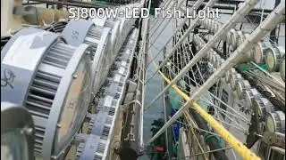 SHENG JING OCEAN- an outstanding lighting manufacturer with high professionality.