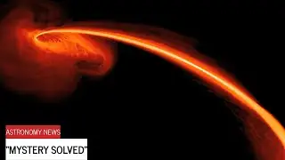 MYSTERY SOLVED: Black Hole Shredding Star Explains LFBOTs | AT 2024wpp Breakthrough