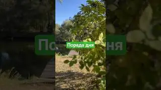 ПОРАДА ДНЯ #порада #пораданадень #щастя #щасливімоменти #україна