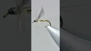 Golden Dun  - a pale blue dun #dryflies  #classic #trout #grayling #halford