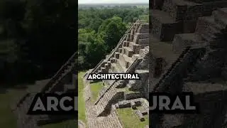 Mayan Civilization: Rise and Fall! 🌄 #MayanHistory