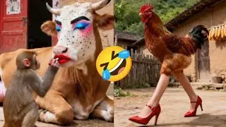 Funniest Animals of the Year! Try Not To Laugh Challenge Level 11