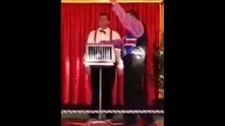 Circus Cat!