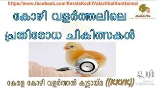 കോഴി വളർത്തലിലെ പ്രതിരോധ ചികിത്സകൾ !!! ((KKVK))