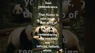 SoulRemembrance
