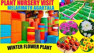 Melarmath Agartala,Plant Nursery Visit/ Winter flower plants