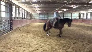Lil'boy trot to lope transition in training with Tim Boyer (Cantrall, Il) 5/4/14