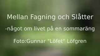 Mellan Fagning och Slåtter