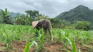 A Day in the Countryside: Planting Corn with Mom & Dad.