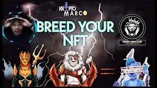 BREED YOUR NFT? | PROUD LIONS CLUB | PLC BREEDING SYSTEM EXPLAINED