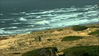 Patrick Arbez - Herr der Fliegen