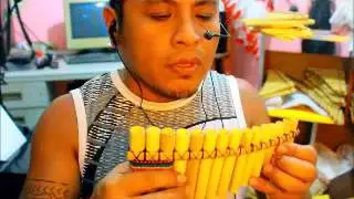 flauta  de  pan  exodus