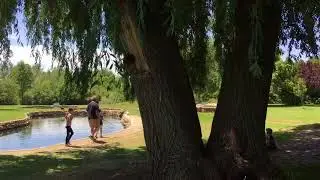 Trout Farm fishing