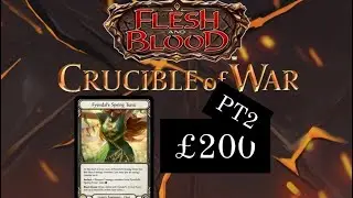Flesh and Blood Crucible of War Case Opening Search for the Tunic 2/4