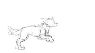 Running wolf animation