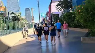 Виды из видеоблога LAS VEGAS STRIP, понедельник, 29 сентября 2025 г. #lonewulfrick2025