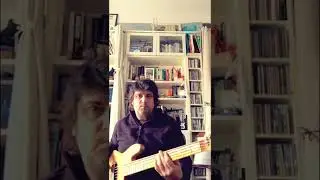 Reggae Fender Marcus Miller 5 Strings Bassline🔥🎸