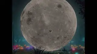 Ambient Meditation Music Vol 4 - DJ Steve Pagan - Gallery of The Strange and Unusual