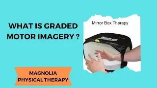 Rewire Your Pain: How Graded Motor Imagery Heals the Brain and Body