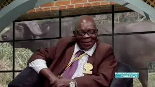 MADZINZA USENDO LWEZIMBABWE || 