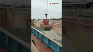 Double Flap Hydraulic Grab