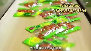 Automatic snack food vacuum packaging machine pouch vacuum filling and sealing machine 