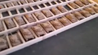 Homemade Storage Boxes for 6mm minis