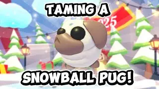 TAMING a SNOWBALL PUG! Adopt Me!