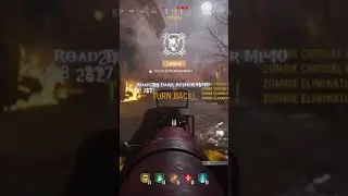 Golden viper Mp40 #RoadtoDarkAether