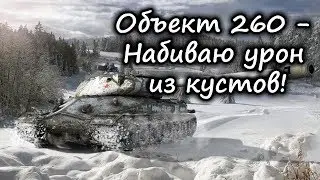 Объект 260 - Набиваю урон из кустов!