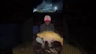 The hard work is still going on. #fishing #viral #fish #trending #vlog