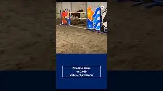 Zinadine Zidan ur 2019 Zulus  Levinsonn 2