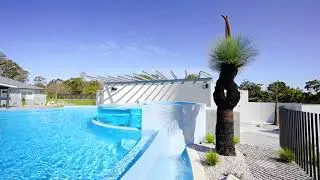 Australia's Best Pool 2023: Award-Winning Leaf Motif Design by Transform Pools and Spas