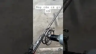 Cần săn h&agrave;ng #cauca #fishing #c&acirc;uc&aacute; #fishingvideo