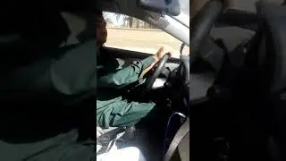 Feyaz pardesi