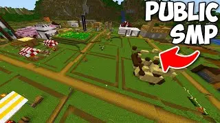 MINECRAFT 1.21+ PUBLIC SMP: YOU CAN JOIN