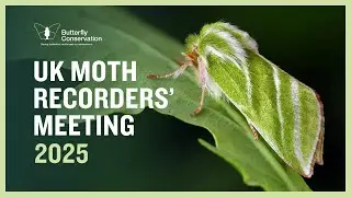 UK Moth Recorders' Meeting 2025