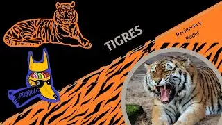 Tigres: Camuflaje contra dalt&oacute;nicos. | Ep 128| CULTURA COLMILLUDA