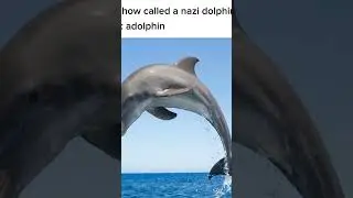 Nazi adolphin #funny #bruh